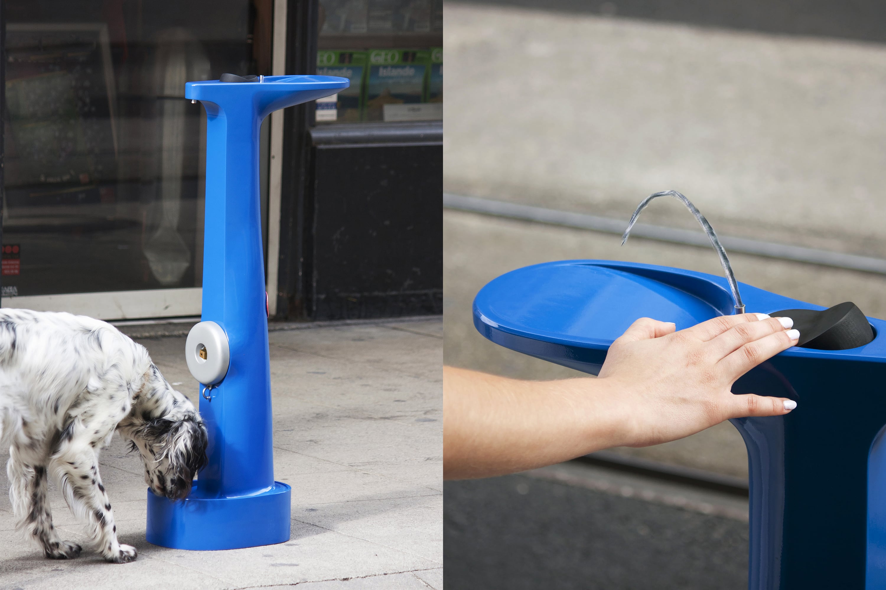 2019_The_Drinking_Hydrant_ 2019_The_Drinking_Hydrant_