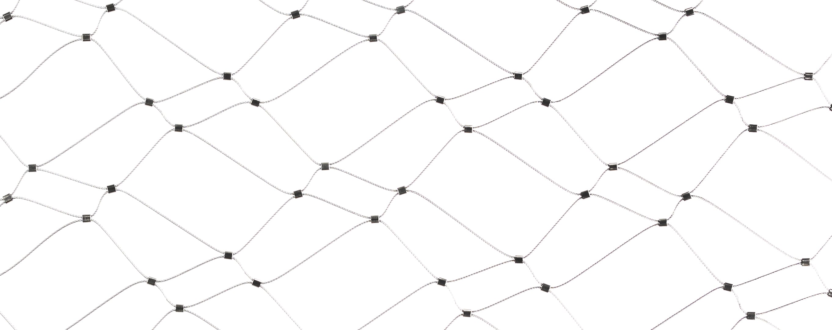 Webnet Evo